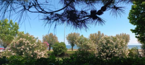 RosMarino_Appartamento Fronte Mare Roseto Degli Abruzzi